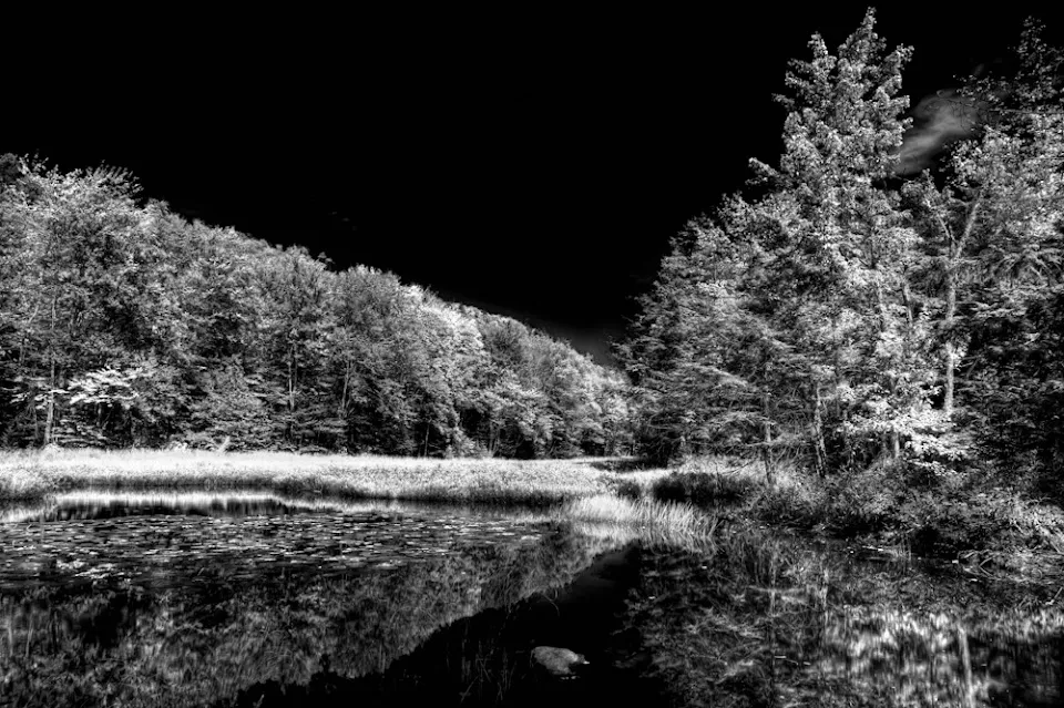 Bald Mountain Pond