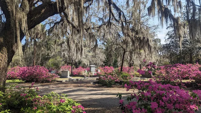 Bonaventure Cemetery