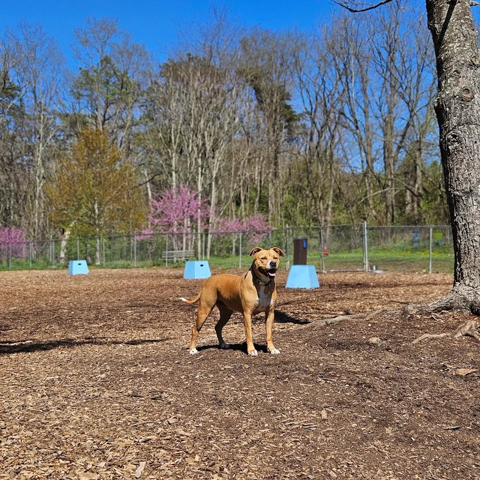 Blacksburg Dog Park