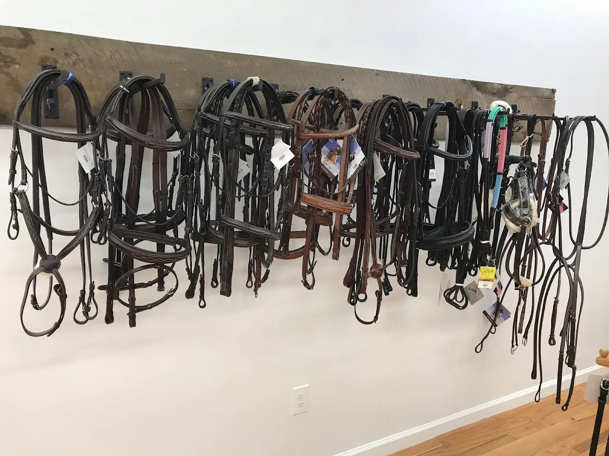 Argento Equestrian 2020