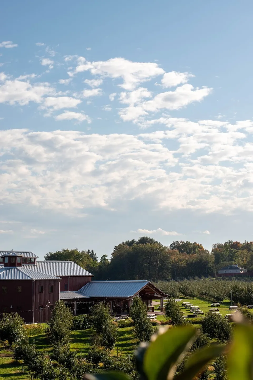Angry Orchard Cider House