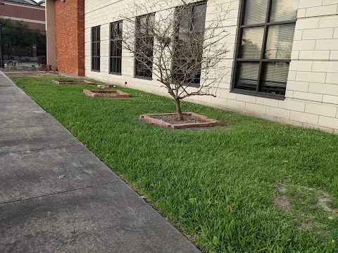 Lamar University Community Garden