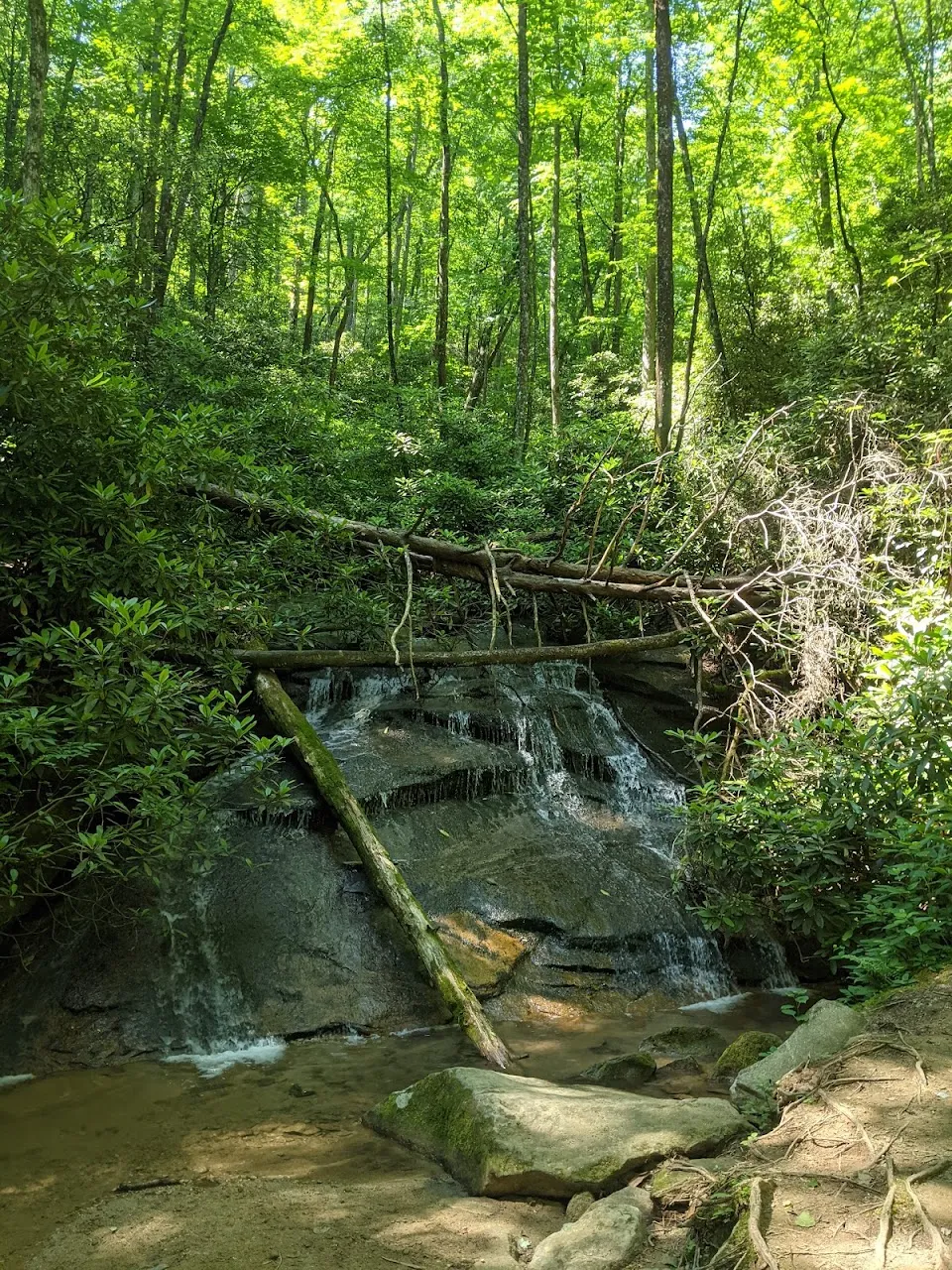 Black Rock Lake Trail