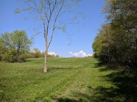 Hamptonburgh Preserve