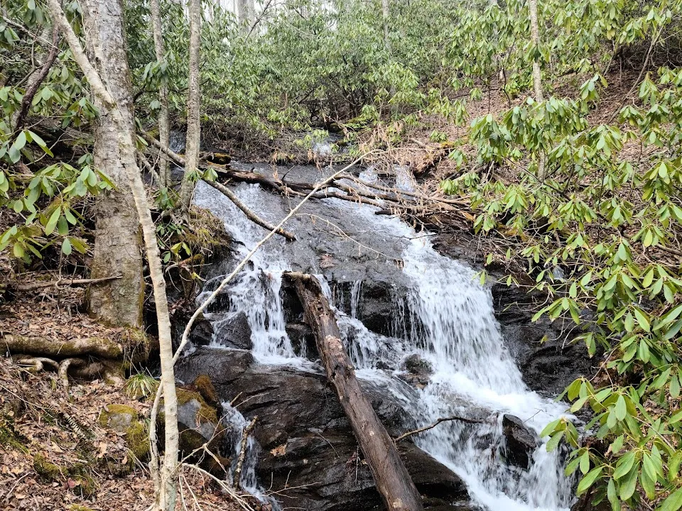 Appalachian Trail in Georgia
