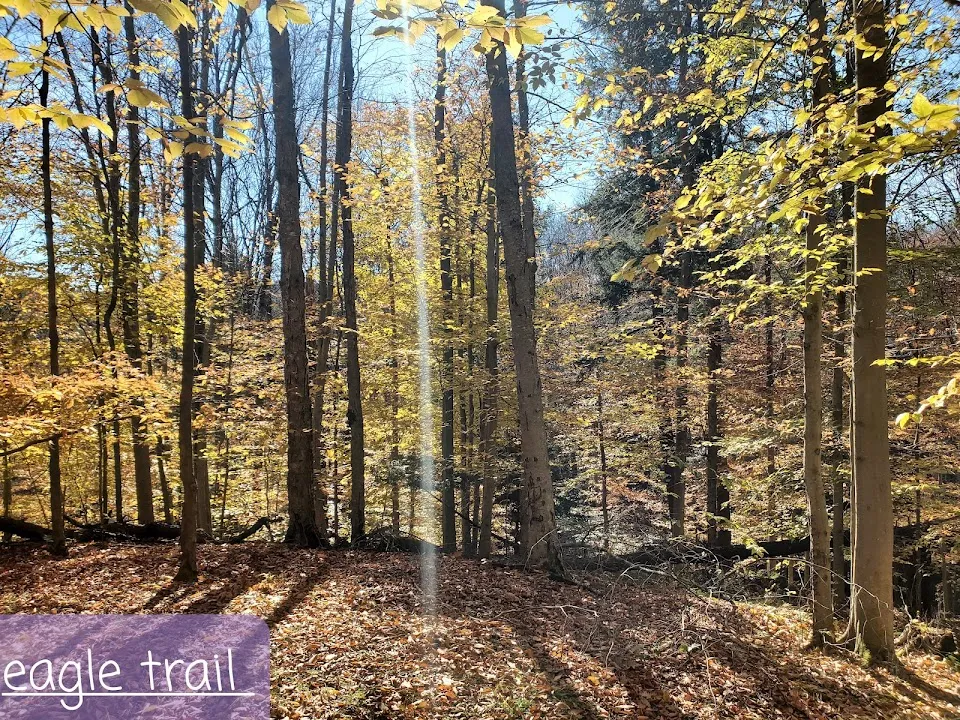 Russell Park Mountain Biking Trails