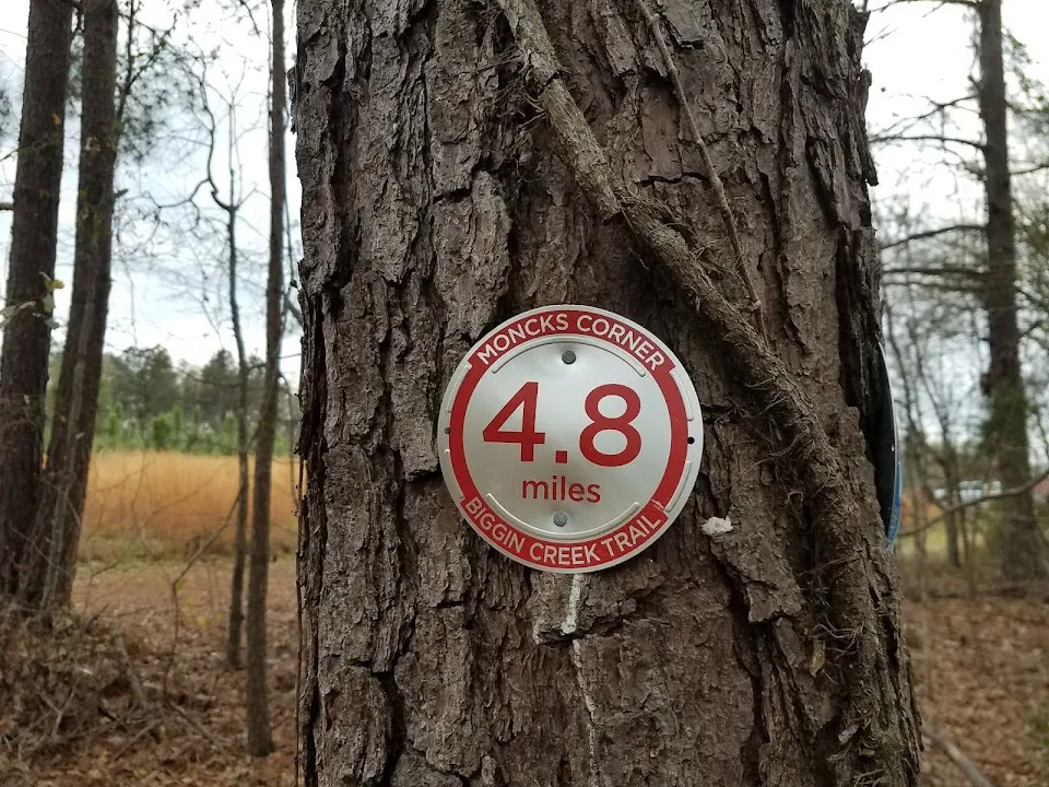 Biggin Creek MTB Trail