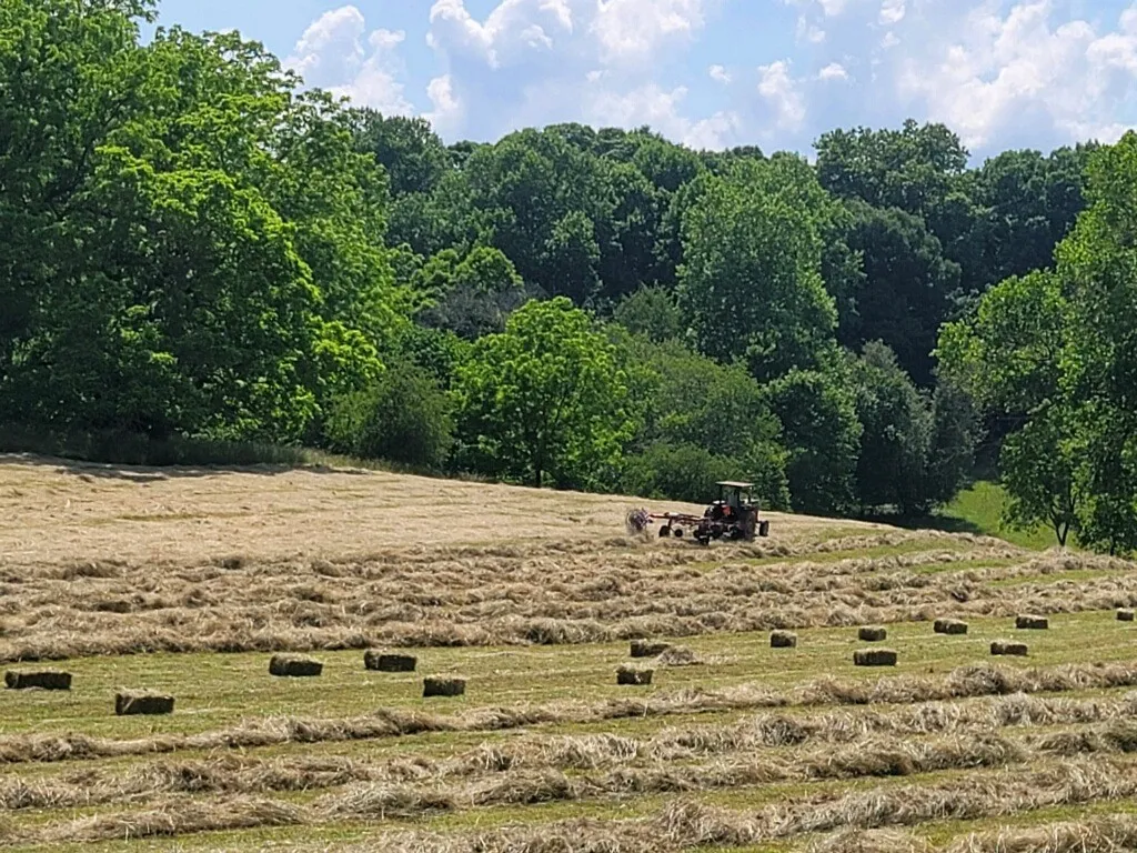 Cormiston Farms