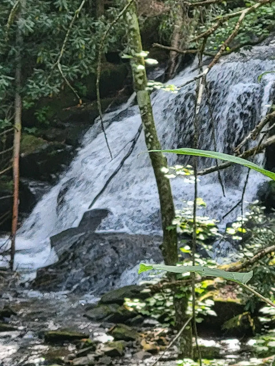 Stonewall Falls & White Twister Trail Heads