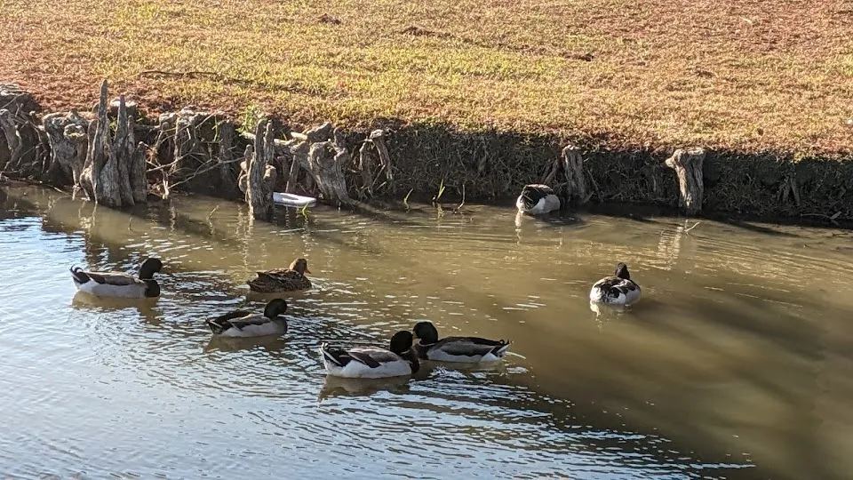 Virginia Tech Commuter Parking-Duck Pond Lot