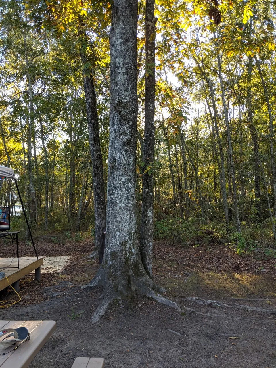 Wyboo Pointe Campground & Marina LLC