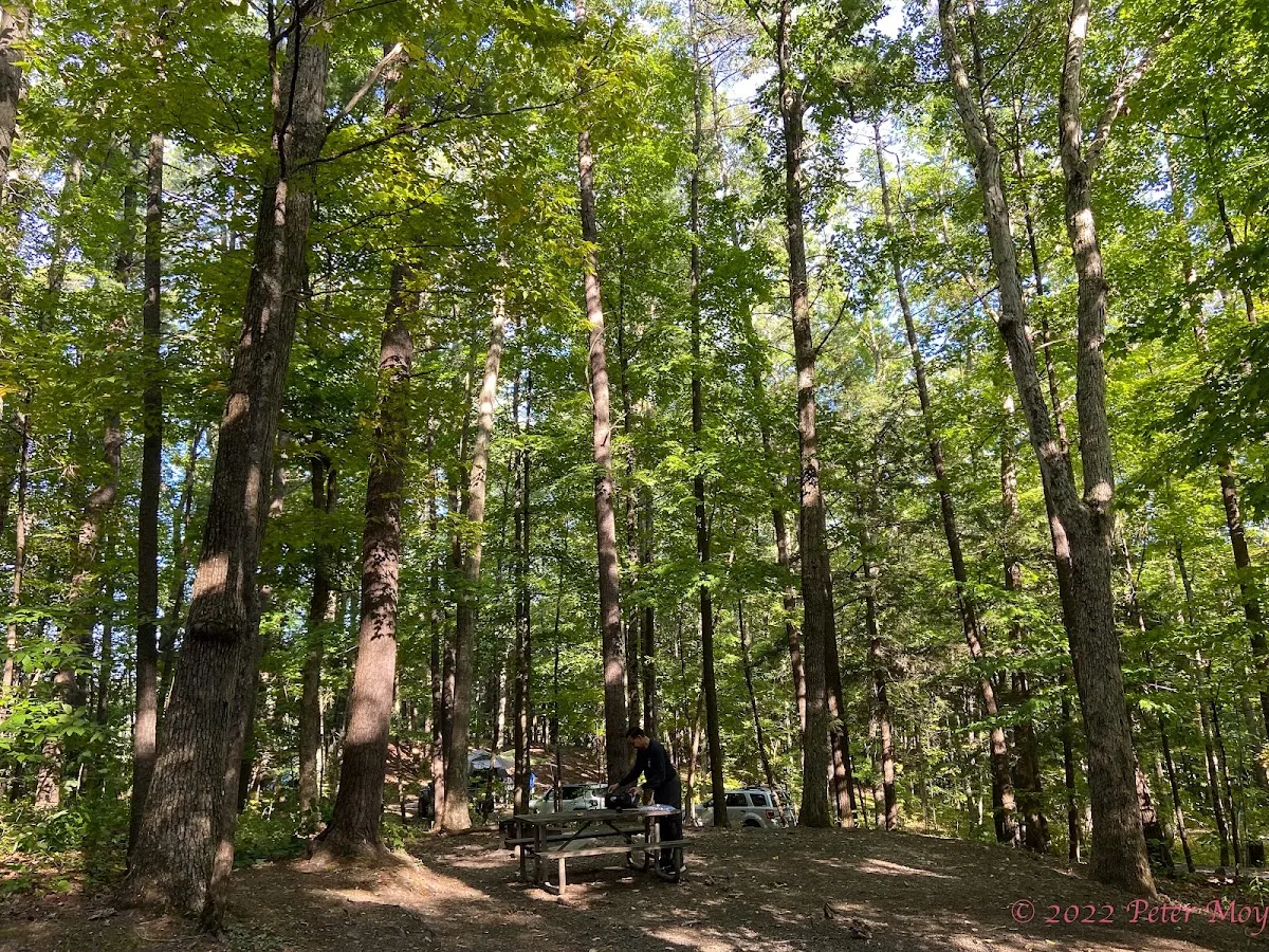 Max V. Shaul State Park