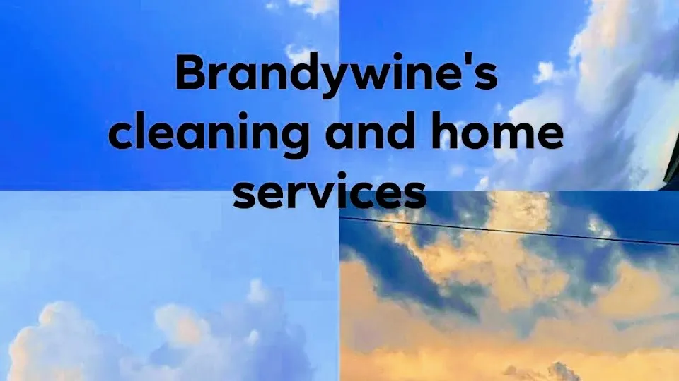 Brandywines Cleaning and Home Services LLC