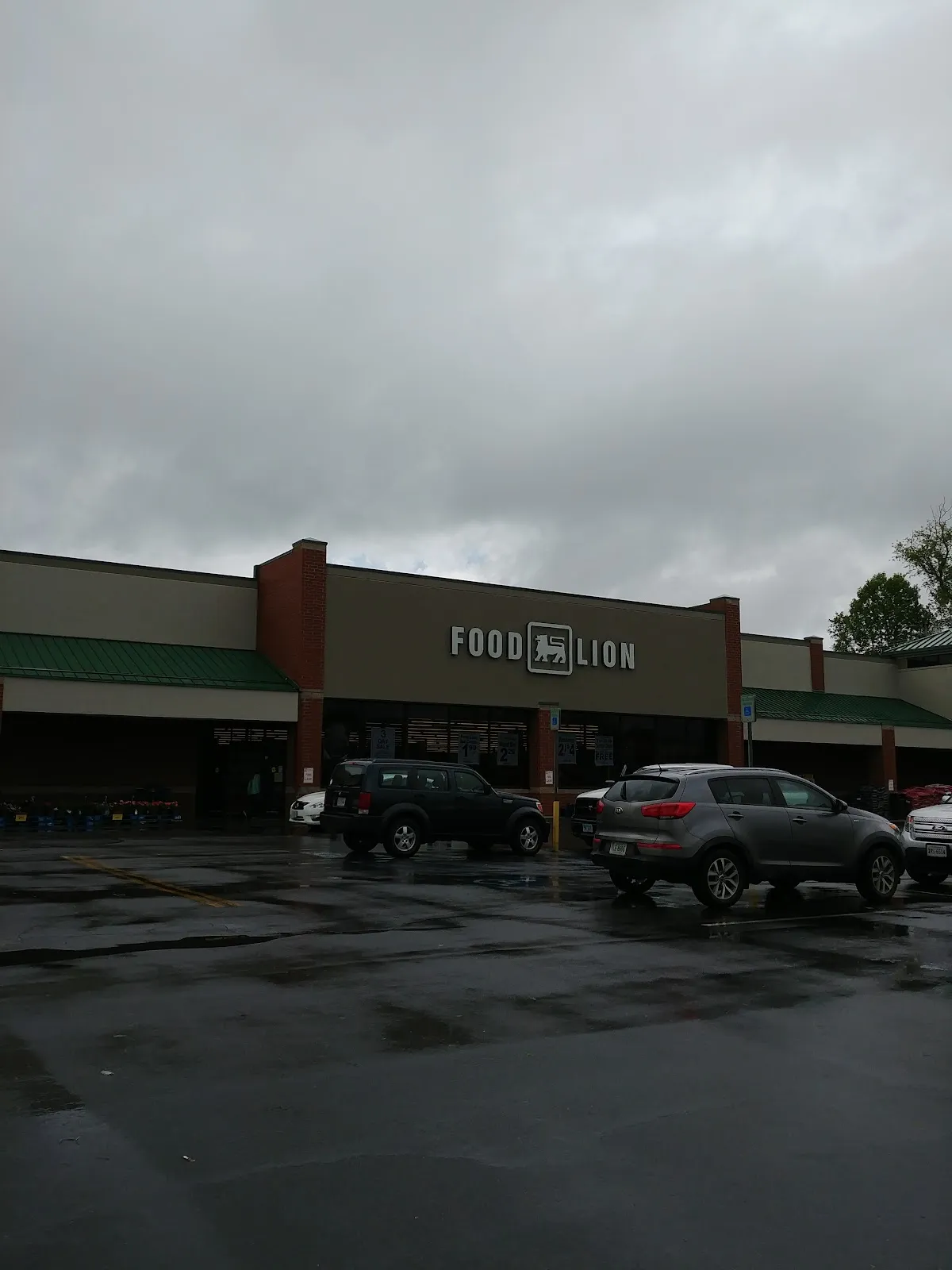 Food Lion
