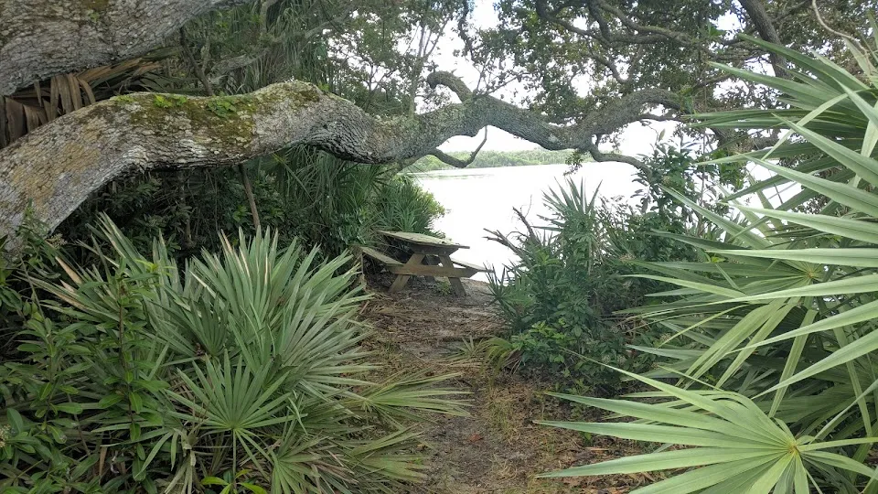 Canaveral National Seashore