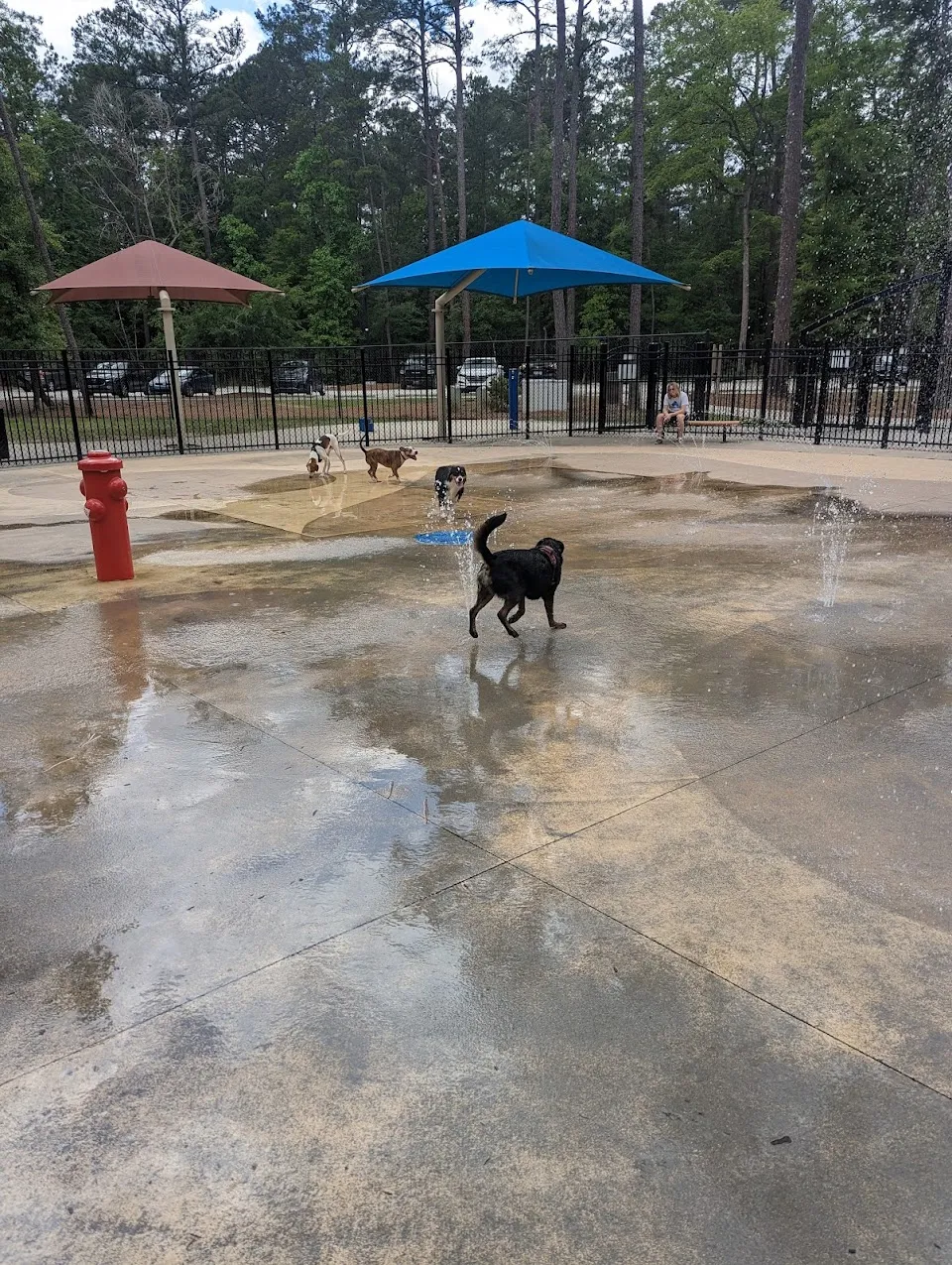 Wannamaker Dog Park