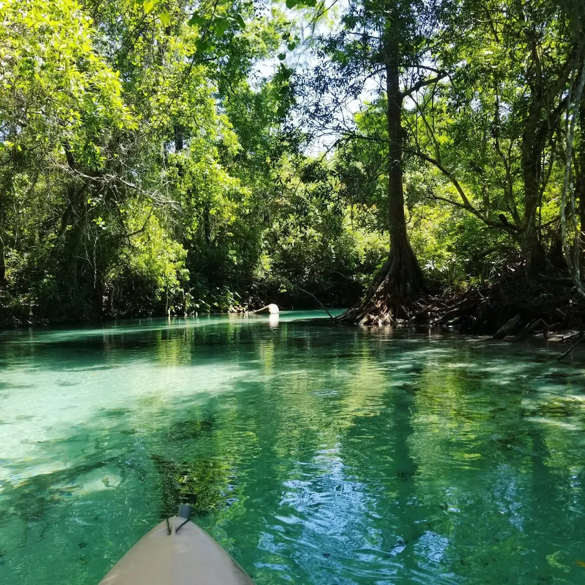 Weeki Wachee Kayak & Canoe