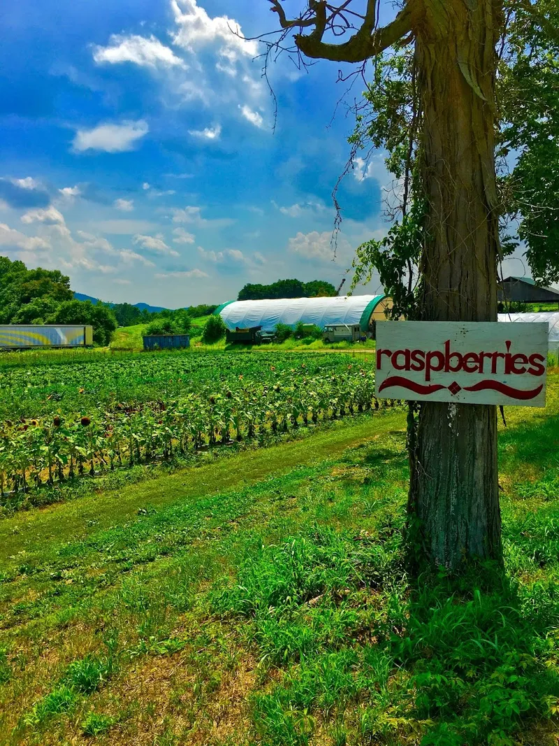 Pine Hill Farm
