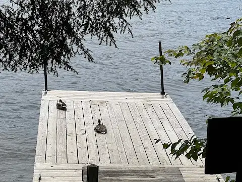 Alger Island Campground
