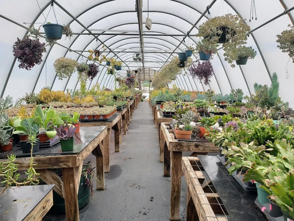 Billingsley Garden Center
