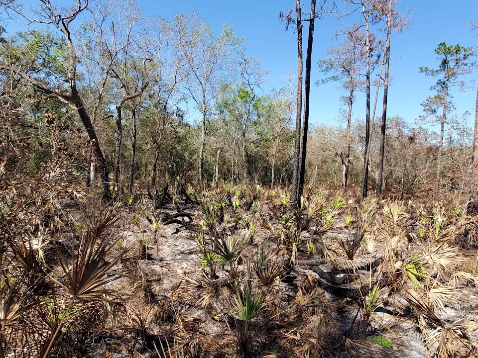Croom Wildlife Management Area