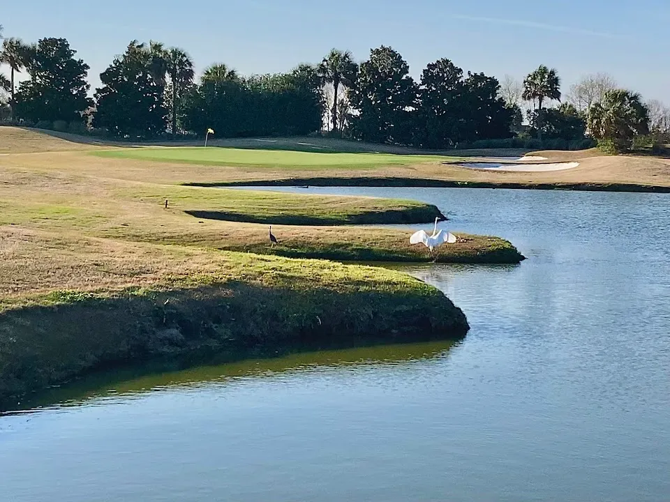 The Club At Savannah Harbor