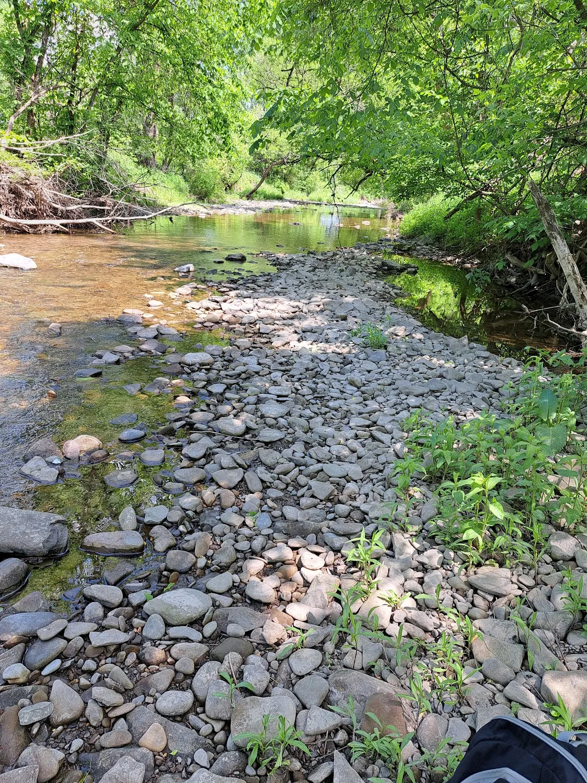 Schoharie Creek Fishing Access Point # 2