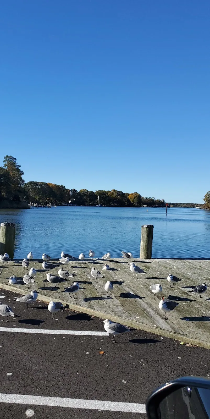 Easton Point Marina