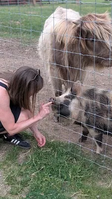 Whiskey Springs Farm LLC