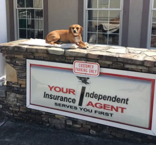 Taylor & Adams Insurance