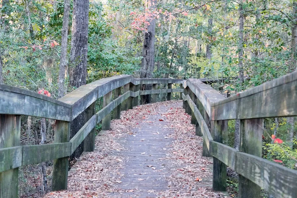 Pack's Landing