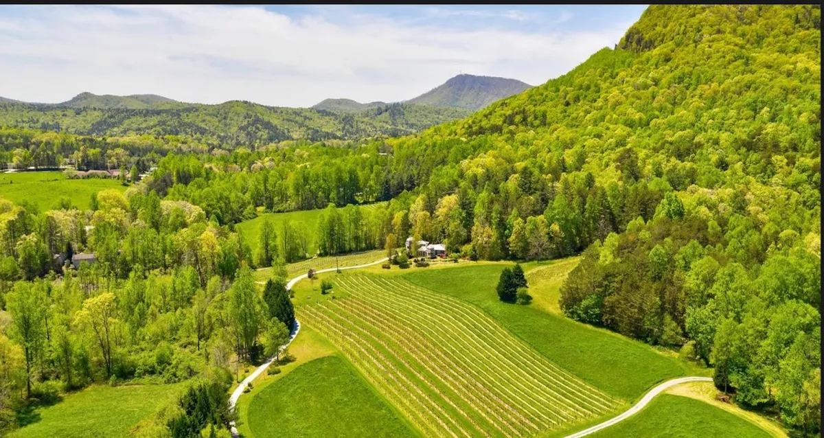 Tiger Mountain Vineyards & Red Barn Cafe