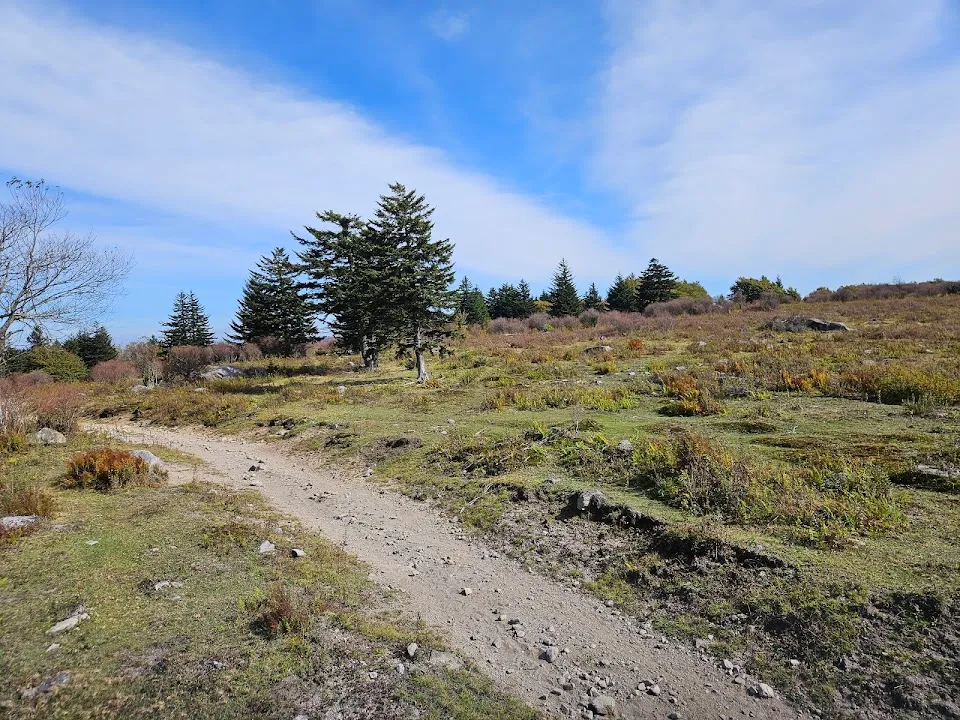 Fox Creek Horse Camp