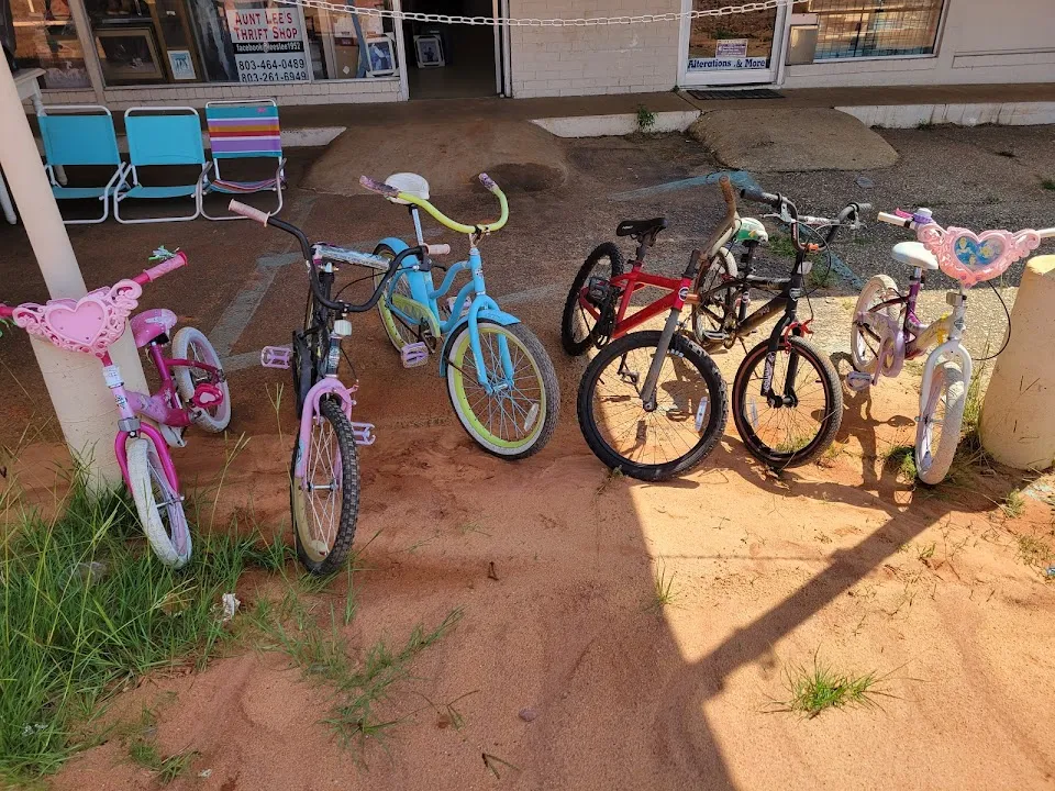 Aunt Lee's Variety Store