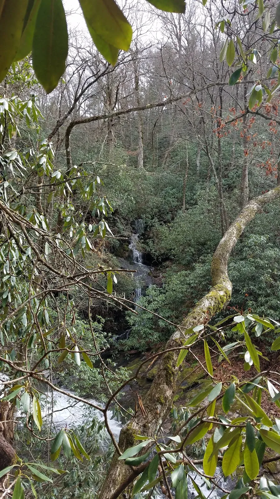 Darnell Falls