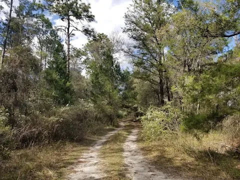 Annutteliga Hammock Trailhead