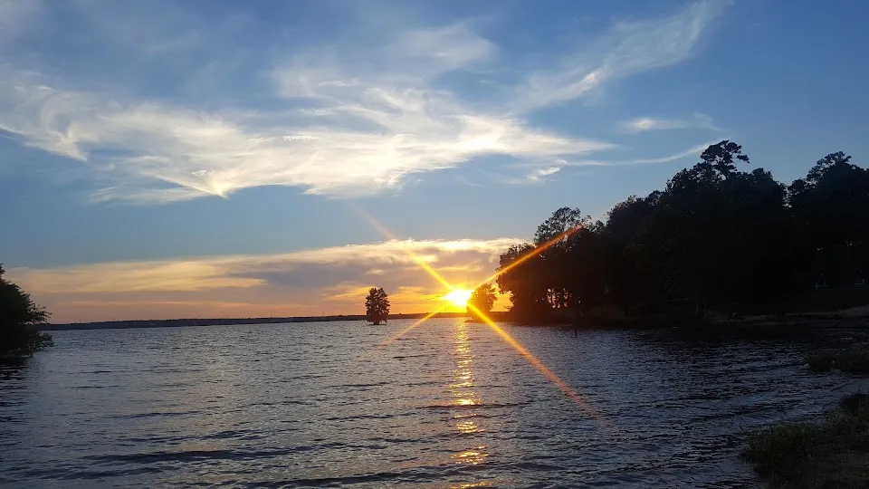 Polly's Landing