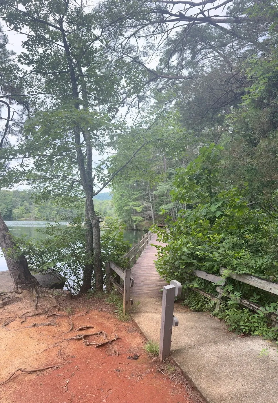Tallulah Gorge - Suspension Bridge
