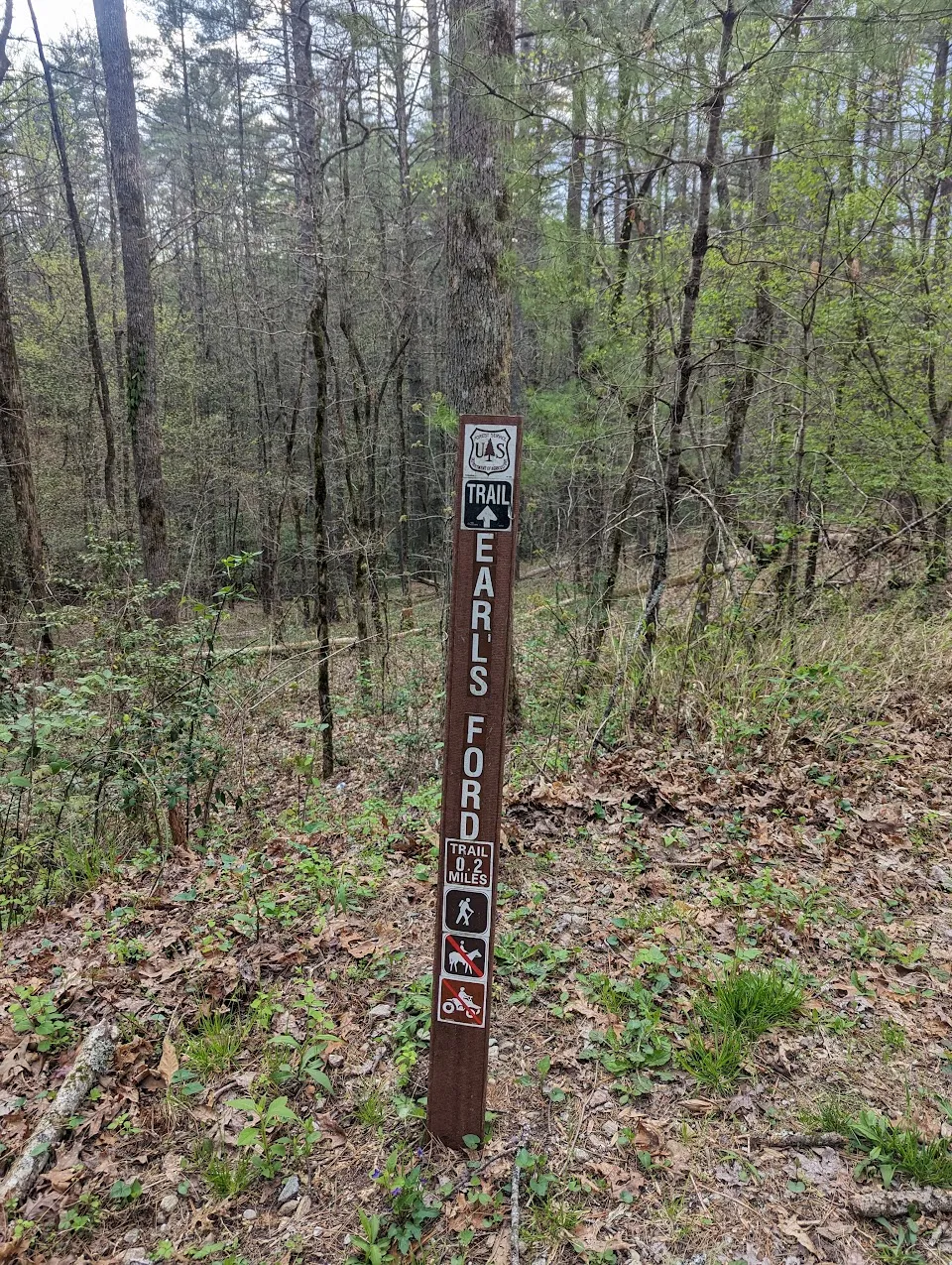 Earl's Ford Put-in on Section III of the Chattooga River