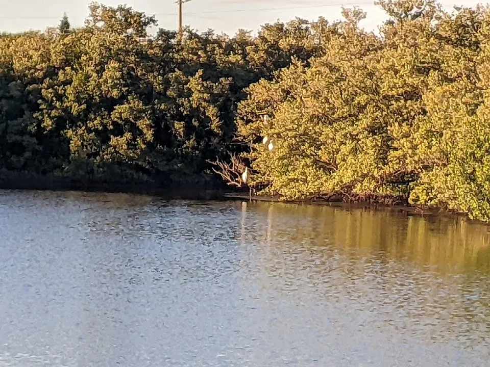Kiawah Bay Resort Rental
