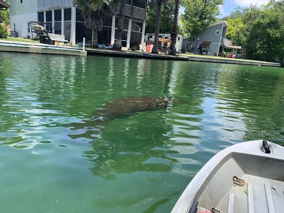 Get Up And Go Kayaking - Weeki Wachee