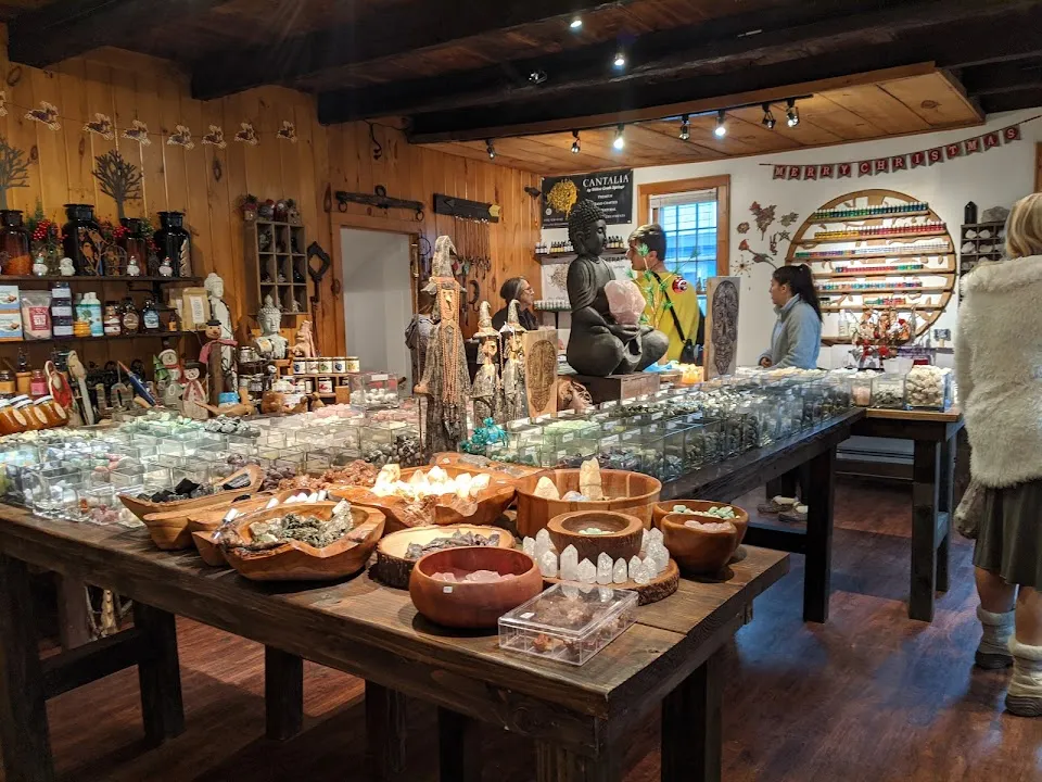 The Holistic Healing Studio
