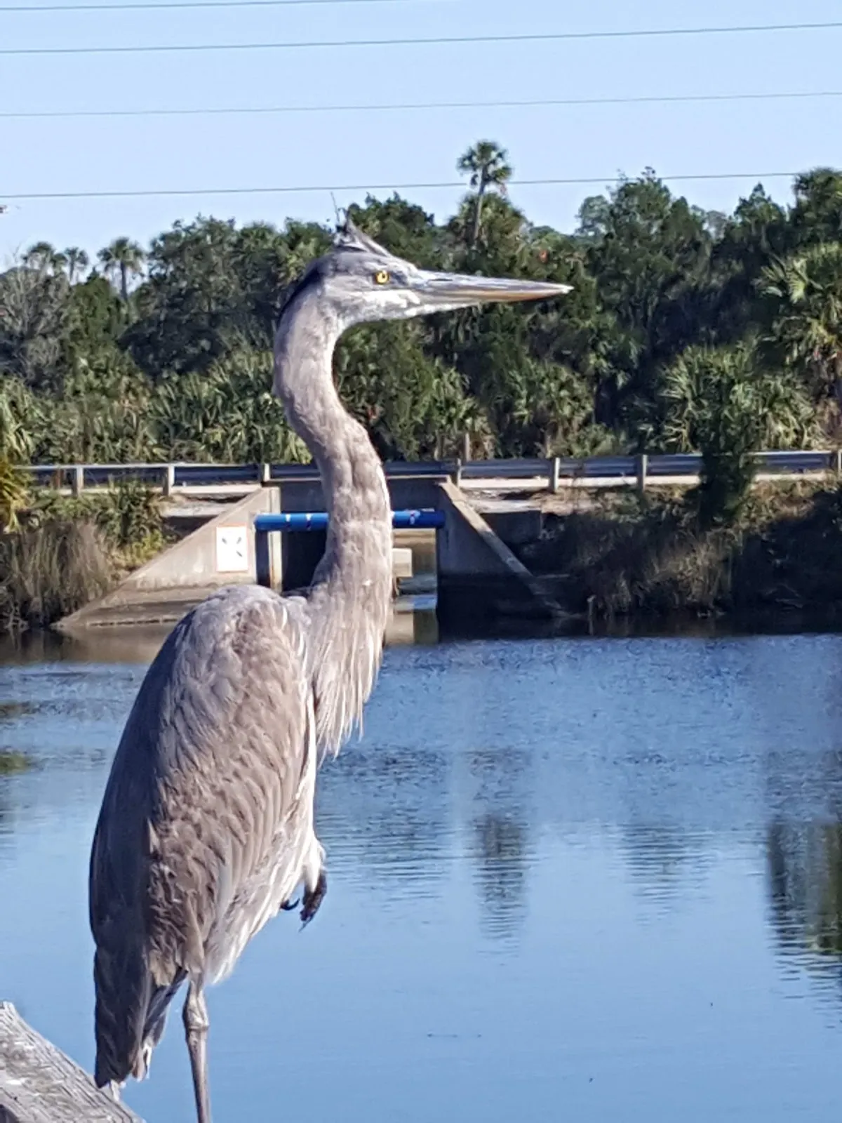 Jenkin's Creek Park Fishing pier