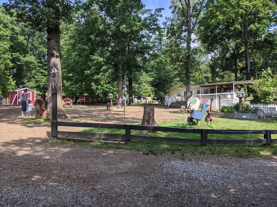 The Art Barn & Farmer Sue