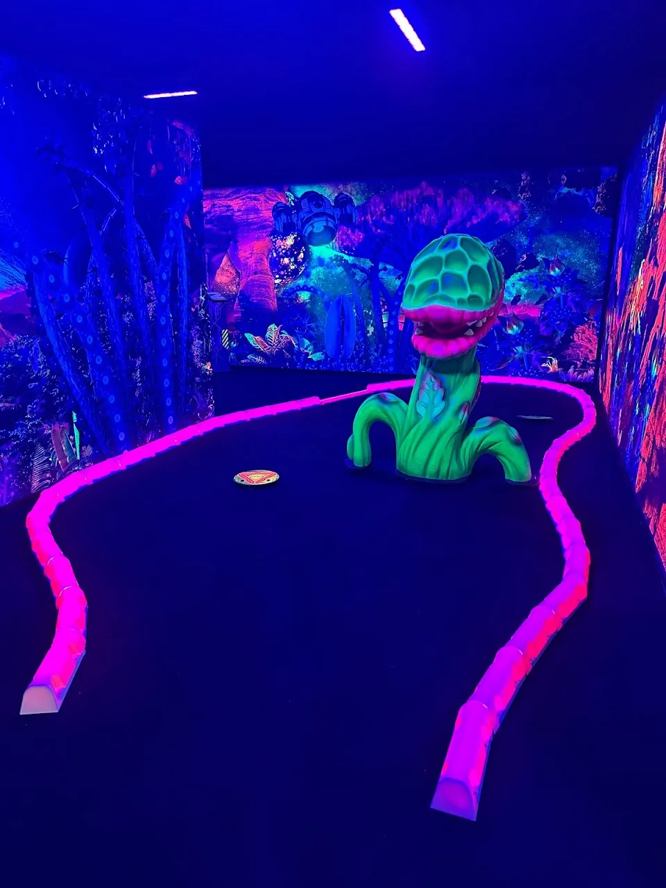 Space Adventure Mini Golf