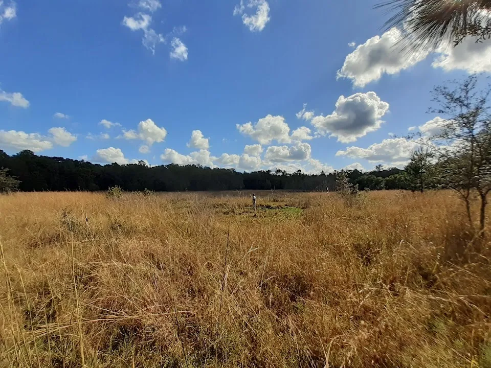 Perry Oldenburg Wildlife and Environmental Area