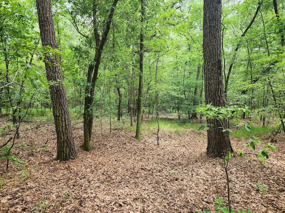 Wannamaker North Trail