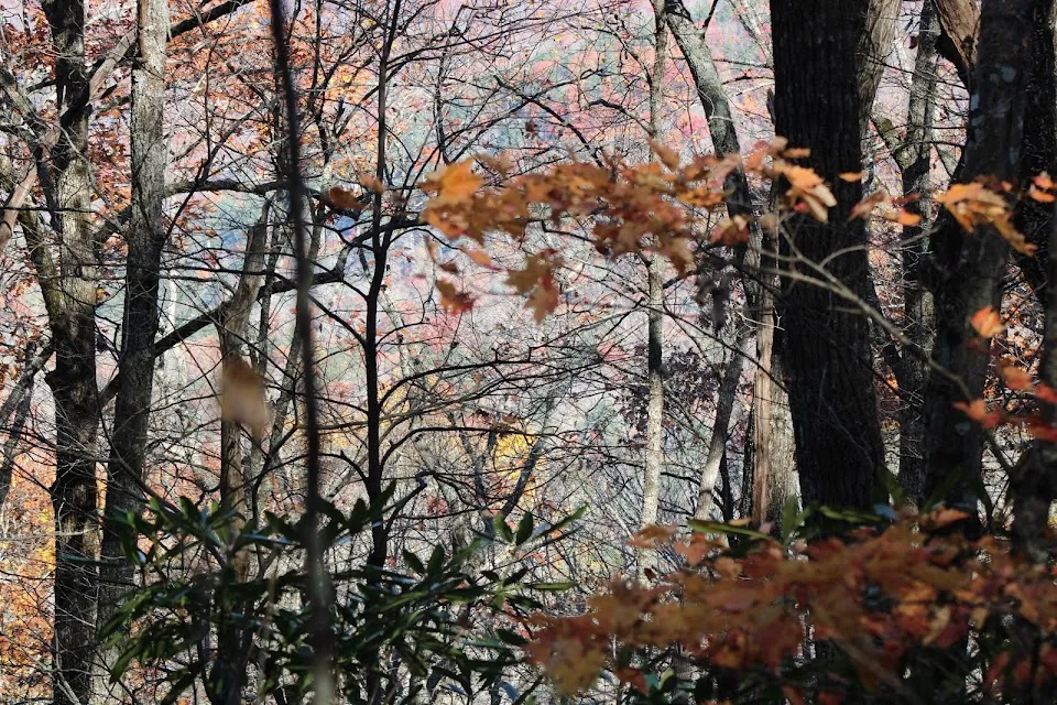 Ada-Hi Falls Trail