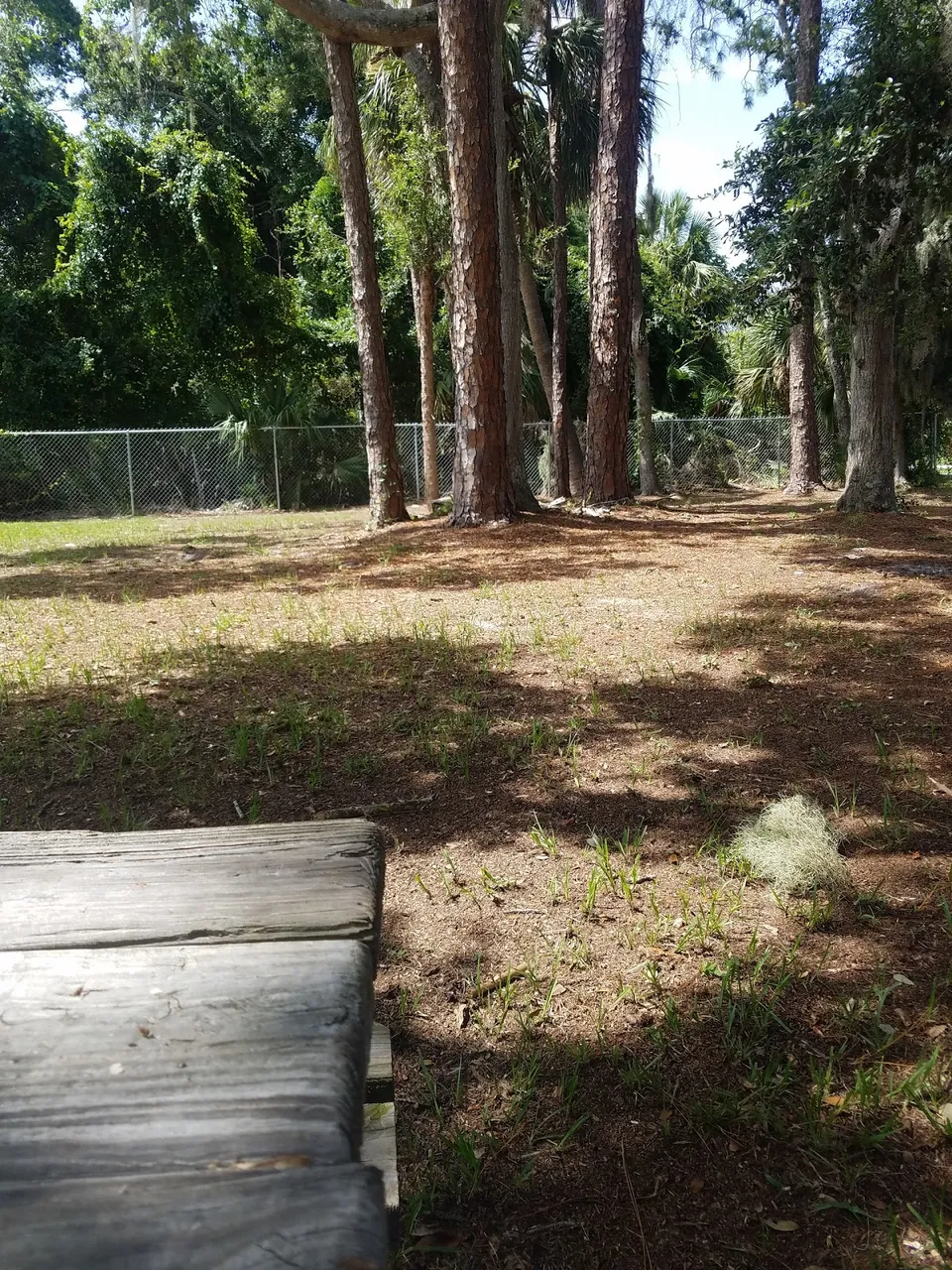 Turnbull Street Park