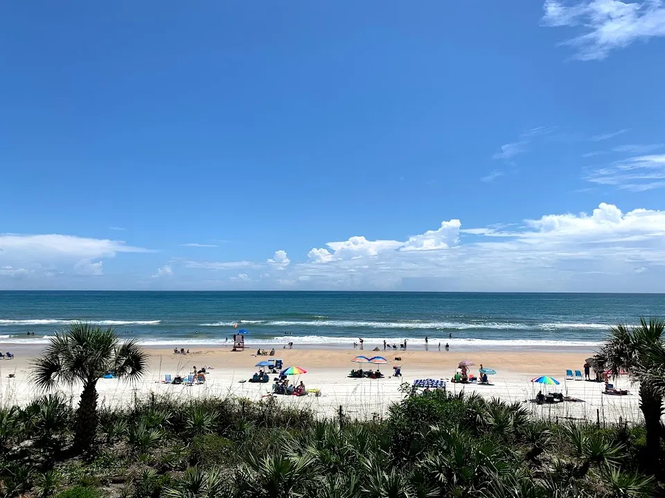 Shorehom By the Sea